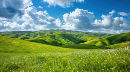 Obraz premium A picturesque landscape featuring rolling hills covered in lush green grass, dotted with wildflowers, under a bright blue sky with fluffy white clouds, capturing the serene beauty of nature