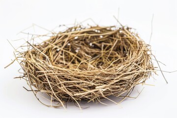 Obraz premium Nest - Empty Bird Nest with Eggs, Isolated Object in Natural Setting