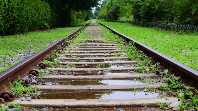 On the railroad tracks where trains do not pass, only grass grows in abundance and rainwater falls into puddles.기차가 지나가지 않는 기찻길에 풀만 무성히 자라고 물웅덩이에 빗물이 떨이집니다.