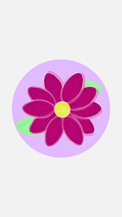 beautiful flower for social network