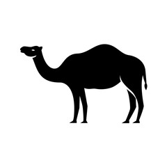 Vector solid black icon for Camel