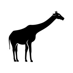 Vector solid black icon for Giraffe