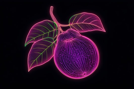 recommend clip art: Neon outline of a guava fruit isotated on black background.