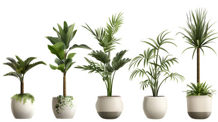 Obraz premium potted plants with green leaves in white ceramic pot isolated on transparent white background,generative ai