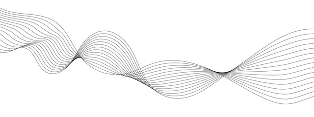 Vector wavy grey lines flowing smooth curve  black gradient color on transparent background in concept of technology, science, music, sound, banner, poster, modern.