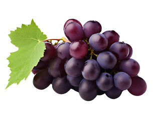 Fototapeta premium a bunch of grapes with a leaf
