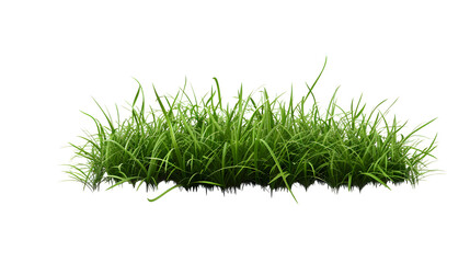 Green  grass isolated on png background,generative ai