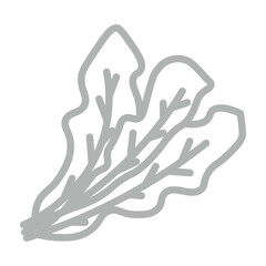 Spinach Vector Line Grey Icon Design