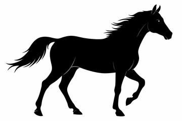 
morgan horse silhouette, horse silhouette vector