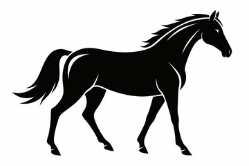 
morgan horse silhouette, horse silhouette vector