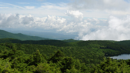 Fototapeta premium 北八ヶ岳の高見石から見る夏空と原生林／日本長野県