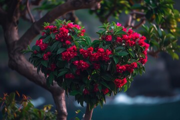 cultural observation explores how love is understood and expressed across different cultures.