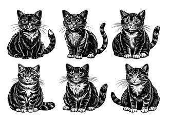 Vector illustrations of various black and white cats in different poses on white background