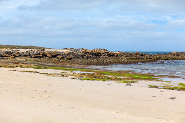 Picturesque sandy beach featuring soft golden sand and calm ocean waves, perfect for relaxation/ Beach is mostly covered in rocks and sand, with some weed in between