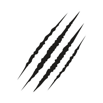recommend clip art: Hand drawn Animal's claws scratch scrape track, Cat tiger scratches paw shape, Four nails trace, illustration vector isolated flat design.
