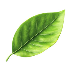 Obraz premium 3D Green Globe Icon On Transparent Png Background For Global Icons . Generative ai