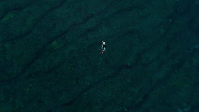 Drone top down rises above surfer paddling over spur and groove reef at Cloudbreak Fiji