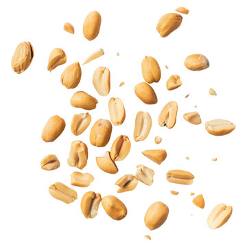 Tasty and nutritious peanuts isolated on transparent white background, clipping path
