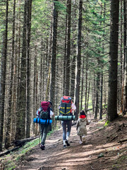 Obraz premium Back view of family of three, with two adults carrying large backpacks and child in red hooded jacket, walks along dirt trail through dense forest. Tall, straight trees create serene atmosphere.