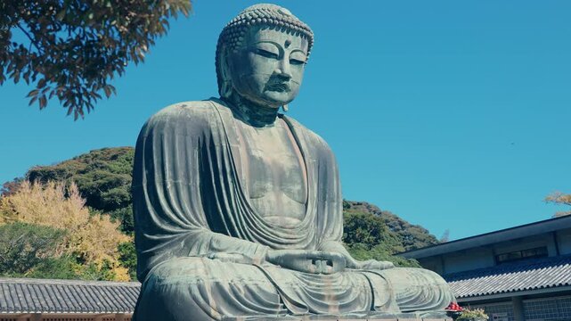 The Great Buddha of Kamakura is a statue, located in Kamakura, Kanagawa Prefecture. Landmark and popular for tourists attraction near Tokyo, Japan.