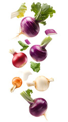 Falling Colorful Turnip mix isolated on white background, full depth of field, transparent png background