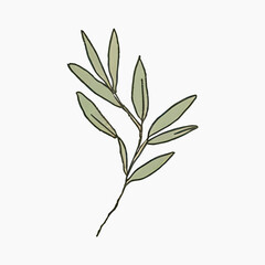 Obraz premium Minimalist botanical leaf illustration