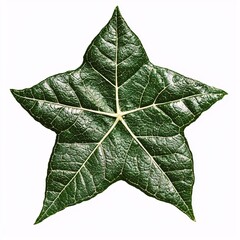 Summer Medallion Star Leaf