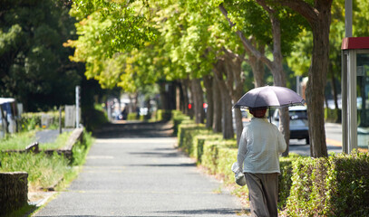 真夏の公園で散歩する一人のシニア女性の姿