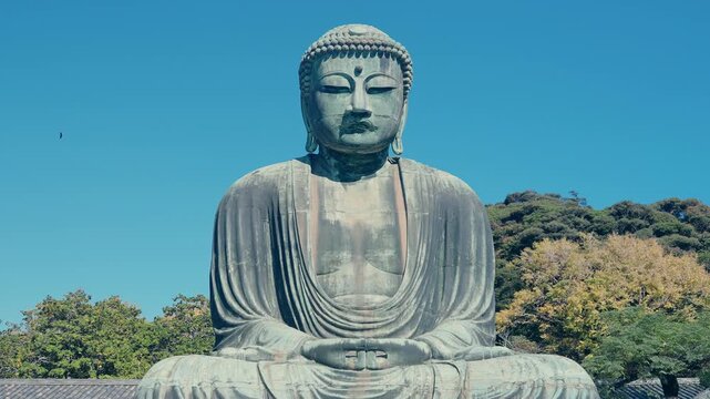 The Great Buddha of Kamakura is a statue, located in Kamakura, Kanagawa Prefecture. Landmark and popular for tourists attraction near Tokyo, Japan.