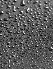 Water drops on a black background. Texture