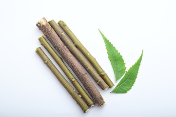 NEEM STEM TOP VIEW ISOLATED ON WHITE BACKGROUND.