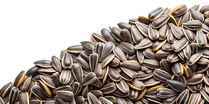 sunflower seeds isolated white background Generative AI