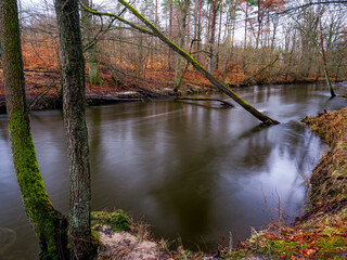 Rzeka Parsęta  wiosną