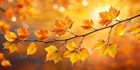 Fototapeta premium Autumn yellow orange leaves on branch with morning dew water drops on front blue sky Creative AI