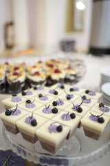 Sweet mousse decorated with berries on the buffet table.