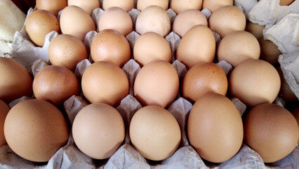 Chicken eggs in an egg basket ready to be cooked