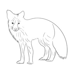 Fox character line art vector illustration. coloring pages. wild animals. fox line drawing. hand drawn line art for coloring book