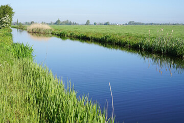 Obraz premium A ditch or trench in the western lower part of the Netherlands between Woerden and Zegveld