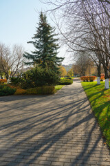 park near wiborg bay