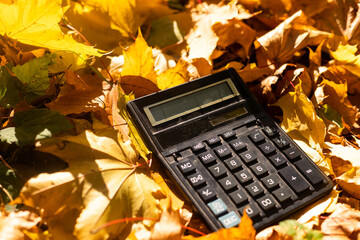 yellow autumn leaves with a calculator on a background