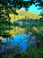autumn forest reflection