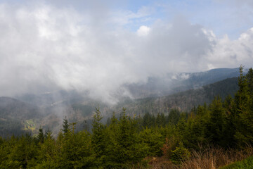 Misty Morning Overlook at Nationalpark Schwarzwald, Black Forest National Park