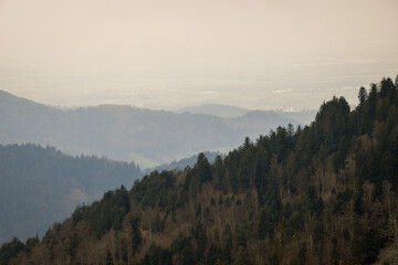 Nationalpark Schwarzwald, Black Forest National Park