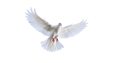 White dove flying in the air isolated on transparent background	
