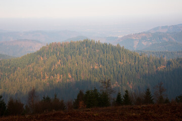 Nationalpark Schwarzwald, Black Forest National Park