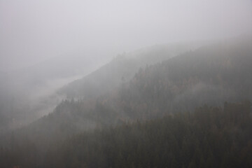 Misty Morning Overlook at Nationalpark Schwarzwald, Black Forest National Park