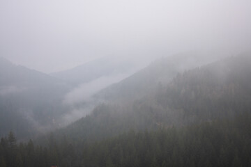 Misty Morning Overlook at Nationalpark Schwarzwald, Black Forest National Park