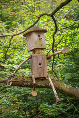 The Elevated Hiking Path of Baumwipfelpfad Schwarzwald, in the Black Forest