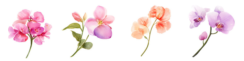 Flowers Set Watercolor Style Isolated Transparency Background