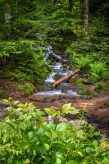 The All Saints Waterfalls in Baden-Württemberg located in the Black Forest